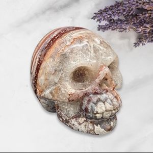 Mexican Crazy Lace Agate Skull Carving